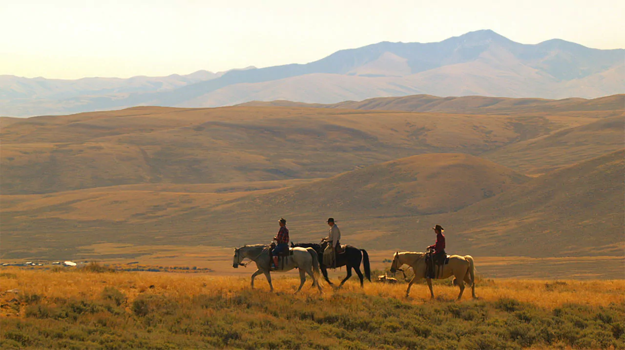 En cavale dans le Wyoming