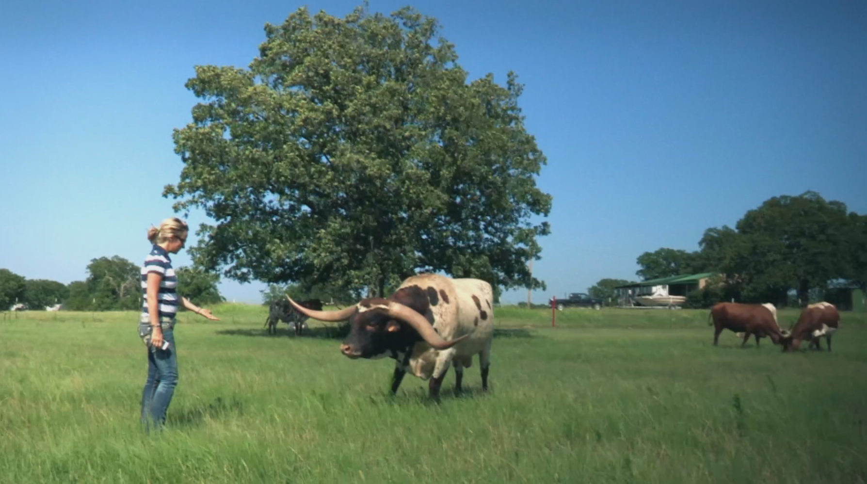 On the Reining road again