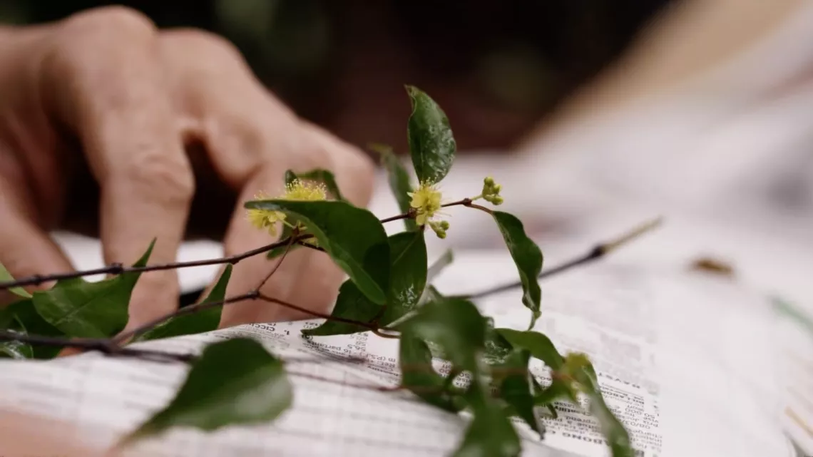 Présumées disparues