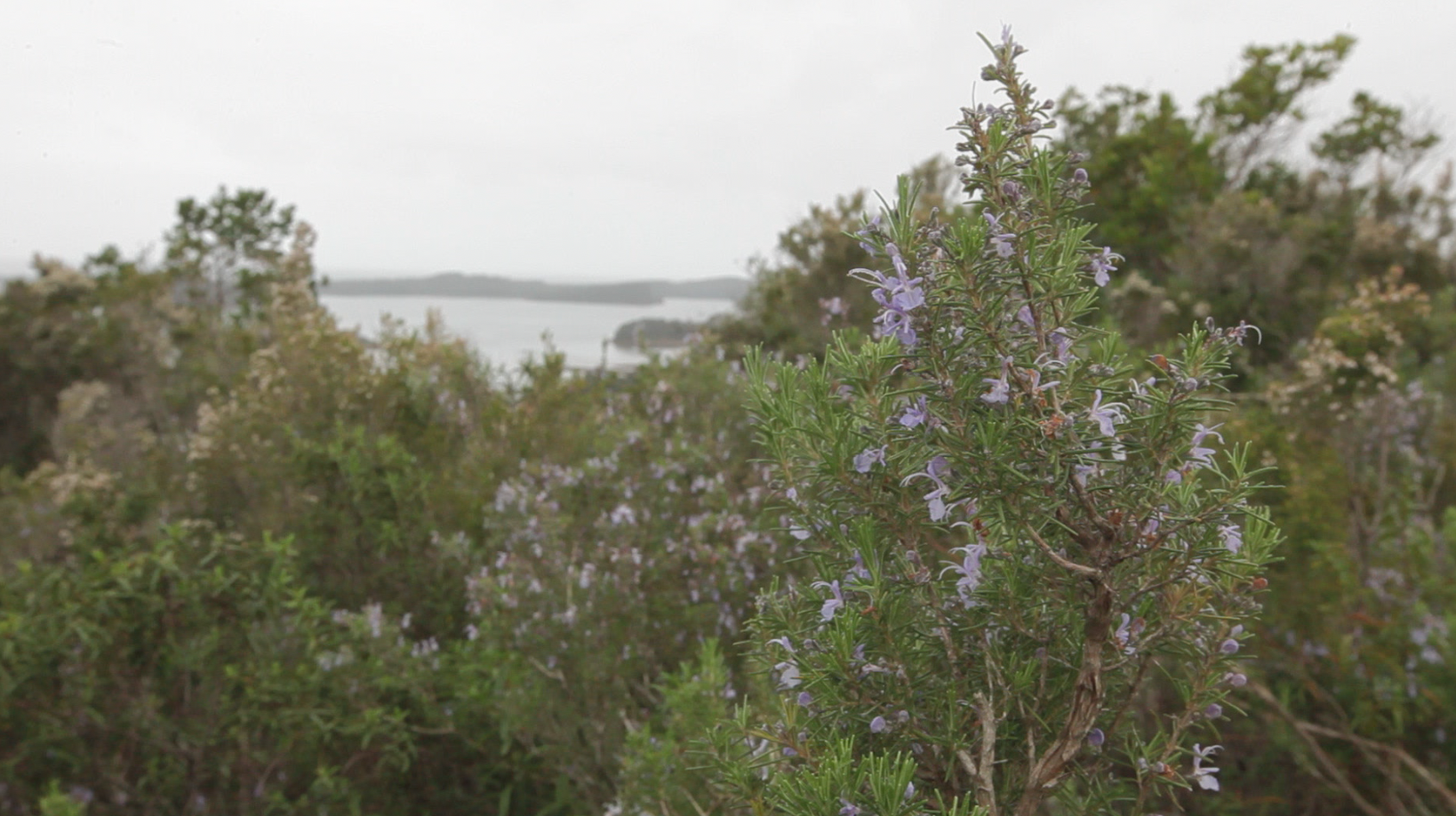 Itinéraire Bis – Haute Corse